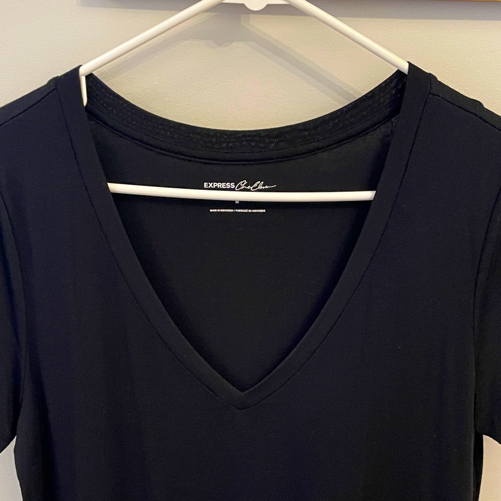 NWT Express V Neck